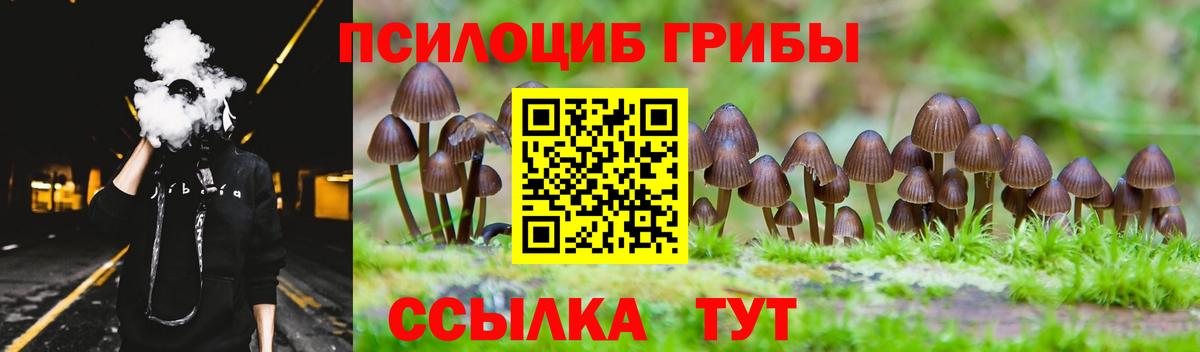 где можно купить наркотик  Псилоцибиновые грибы MAGIC MUSHROOMS  Вход с VPN  Вязьма 